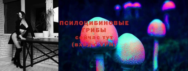 метамфетамин Покачи