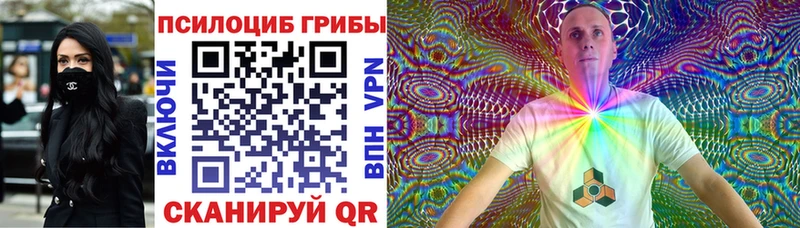 Псилоцибиновые грибы прущие грибы  как найти наркотики  Бабаево 
